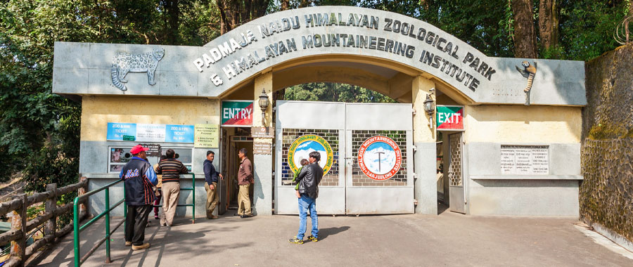 Padmaja Naidu Himalayan Zoological Park