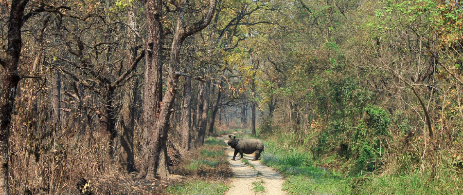 Chitwan National Park